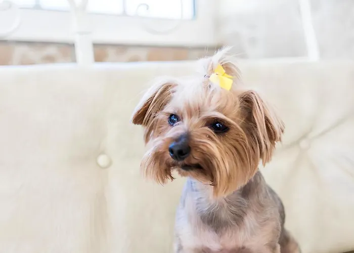 Dom wakacyjny Portuguesa By Mtphomes *